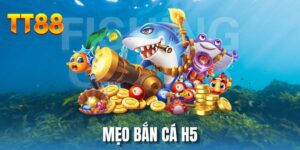 meo-ban-ca-h5